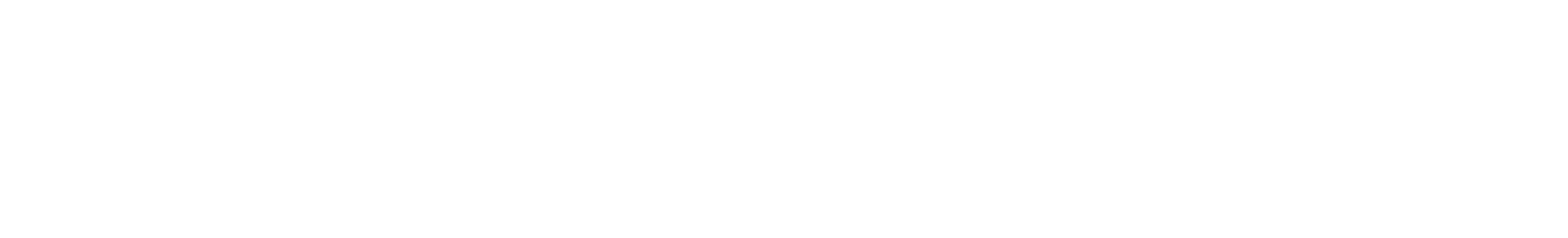 Koznet Bilişim Teknolojileri Limited Şirketi